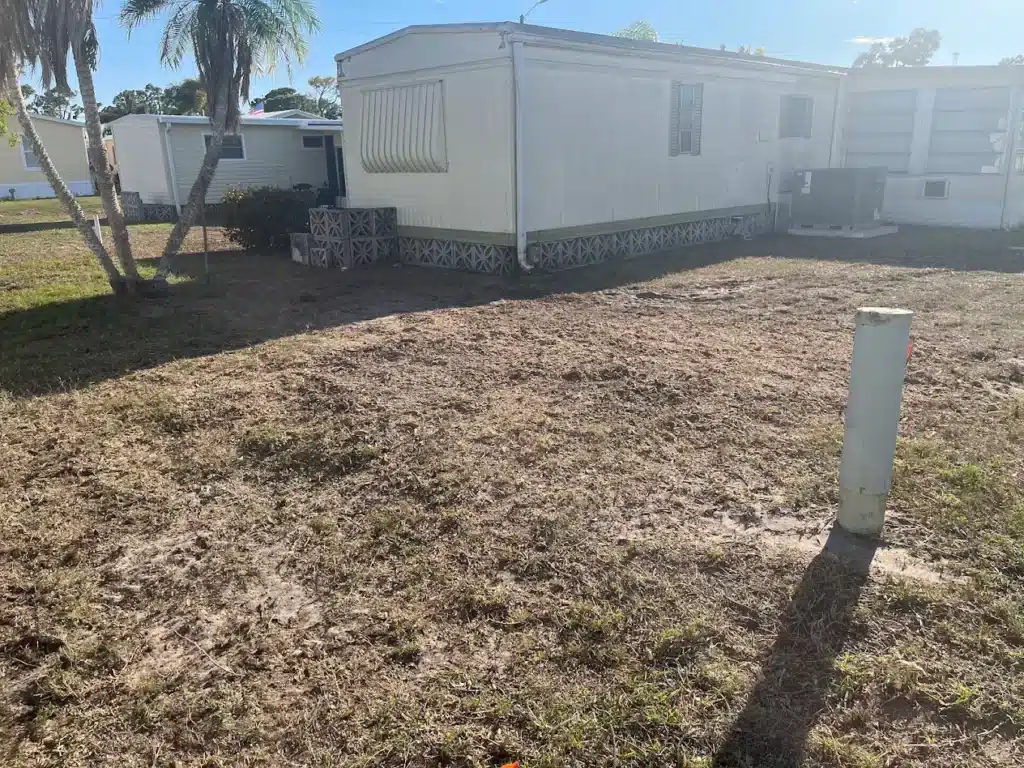 Discount Tree_tree removal Pompano Beach FL_featured image