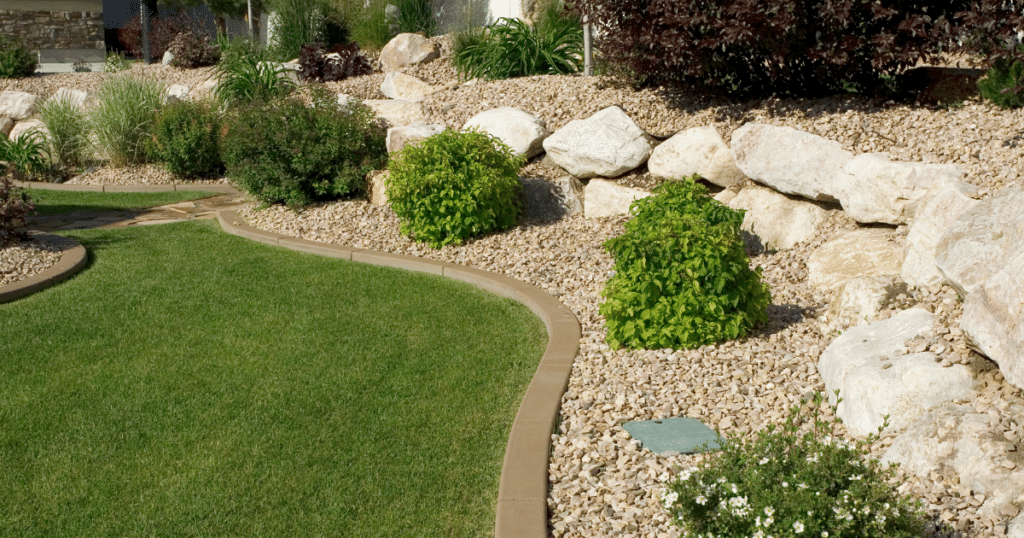 Discount Tree_tree removal Pompano Beach FL_featured image