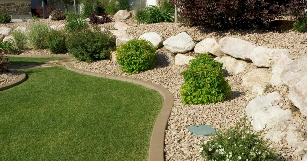 Discount Tree_tree removal Pompano Beach FL_featured image